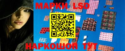 стаф Бугуруслан