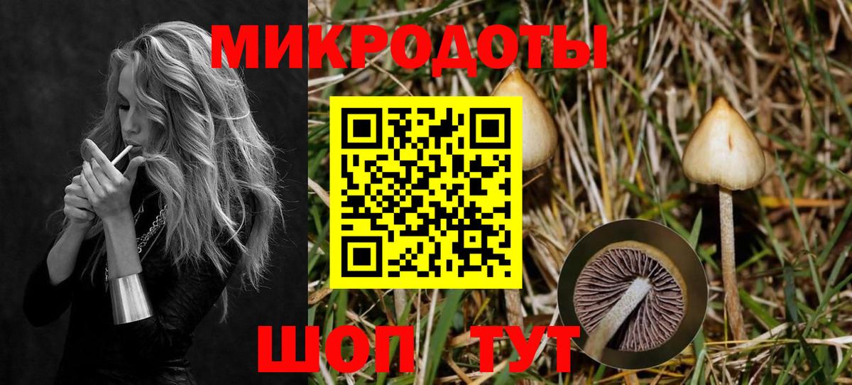 Псилоцибиновые грибы прущие грибы  Вход с VPN  Коломна 